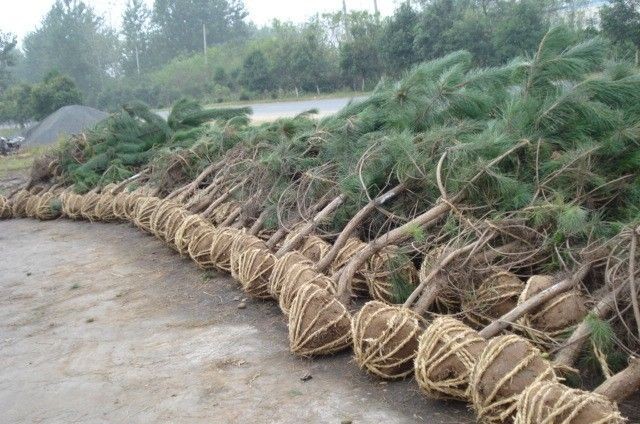 我是不是该安静地走开?还是该留下来?